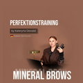 PERFEKTIONSTRAINING - PMU BROWS